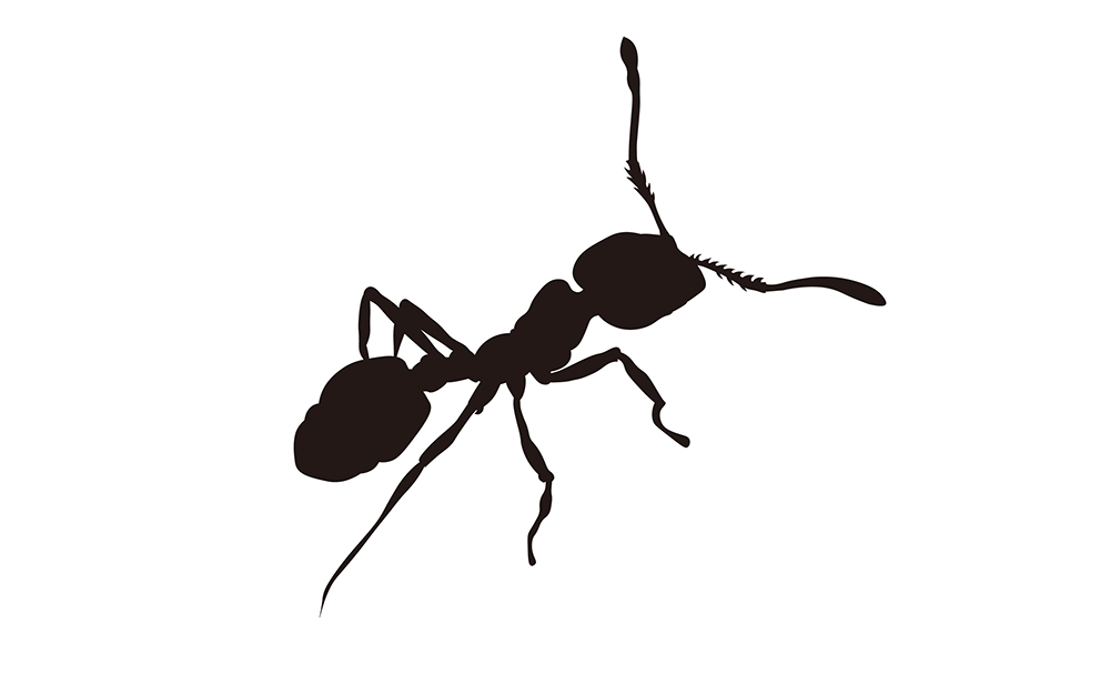 スマホゲームアプリ アリの巣コロニー はアリの生態を反映しているのか 攻略しながら検証