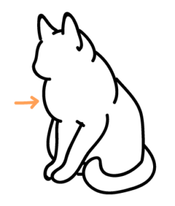 猫のイラストの描き方 生き物の絵を描くポイント 1 ページ 3