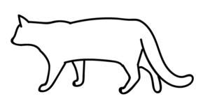 猫のイラストの描き方 生き物の絵を描くポイント 1 ページ 2